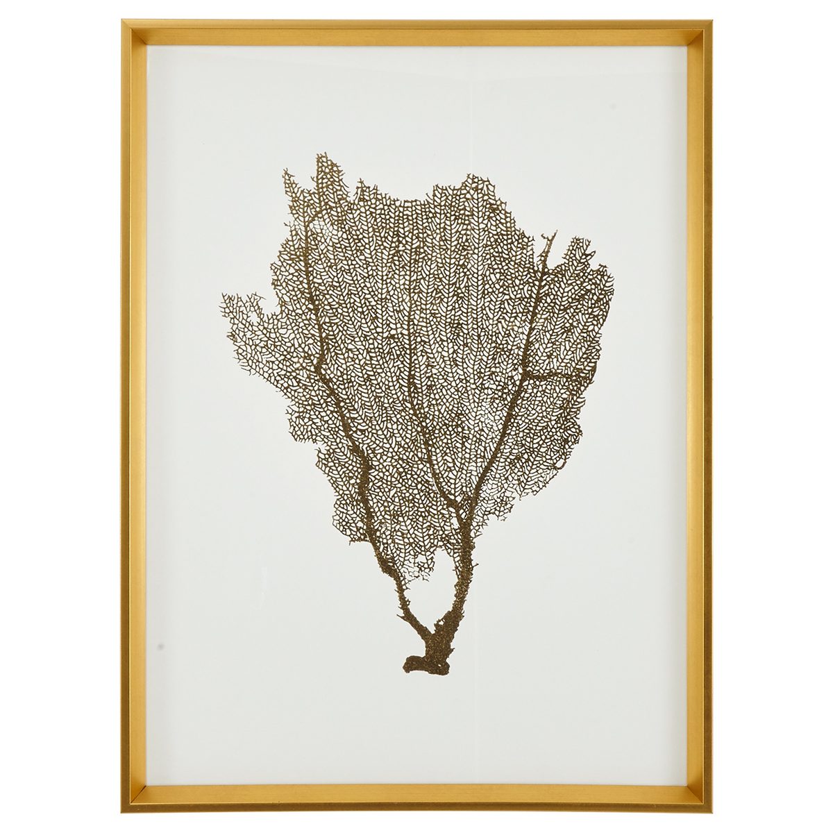 Amazon Brand – Stone & Beam Modern Gold Foil Sea Fan Print I Framed Wall Art Decor - 24 x 30 Inch Frame, Gold
