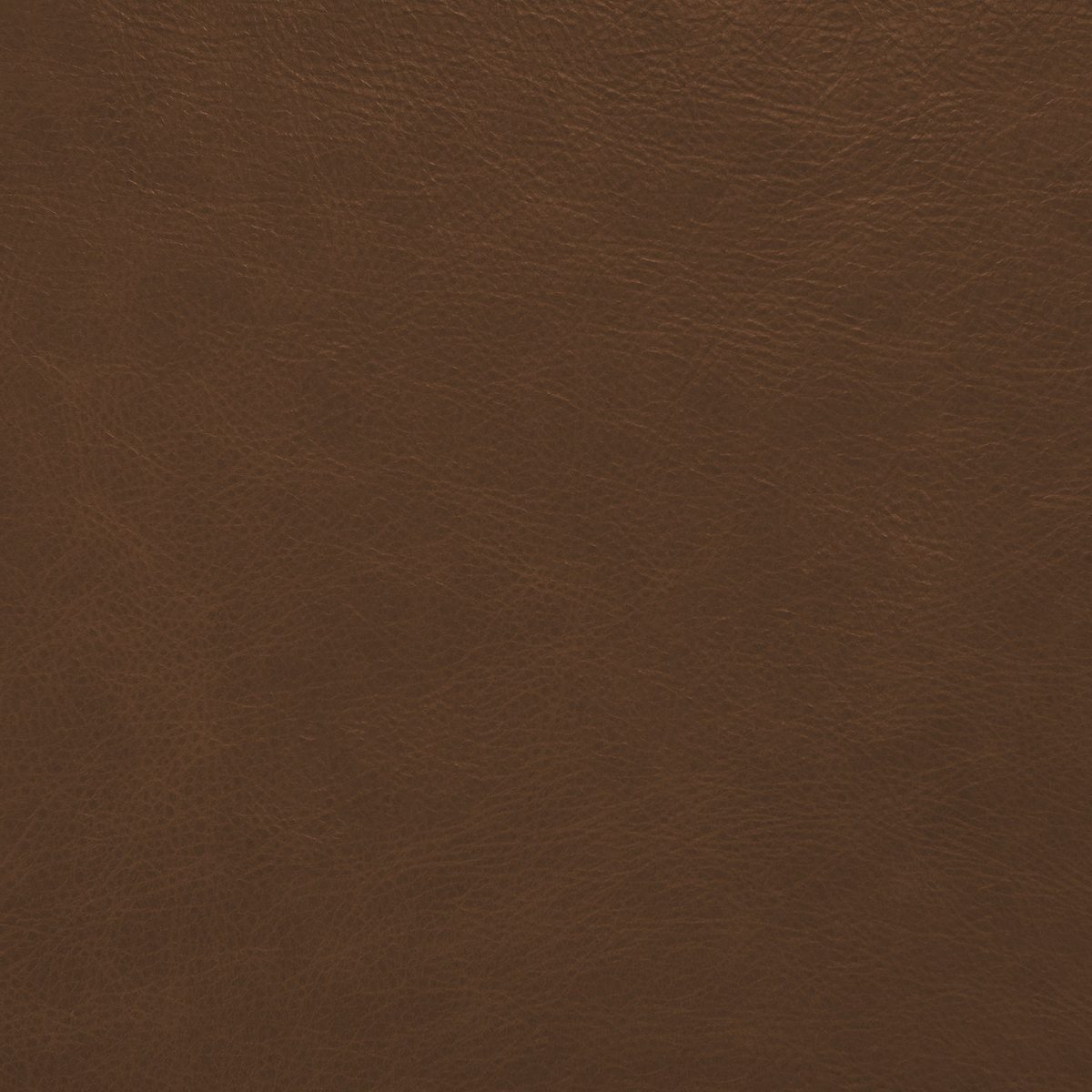 Amazon Brand – Stone & Beam Modern Leather Wingback Chair, 32.75"W, Havana Brown