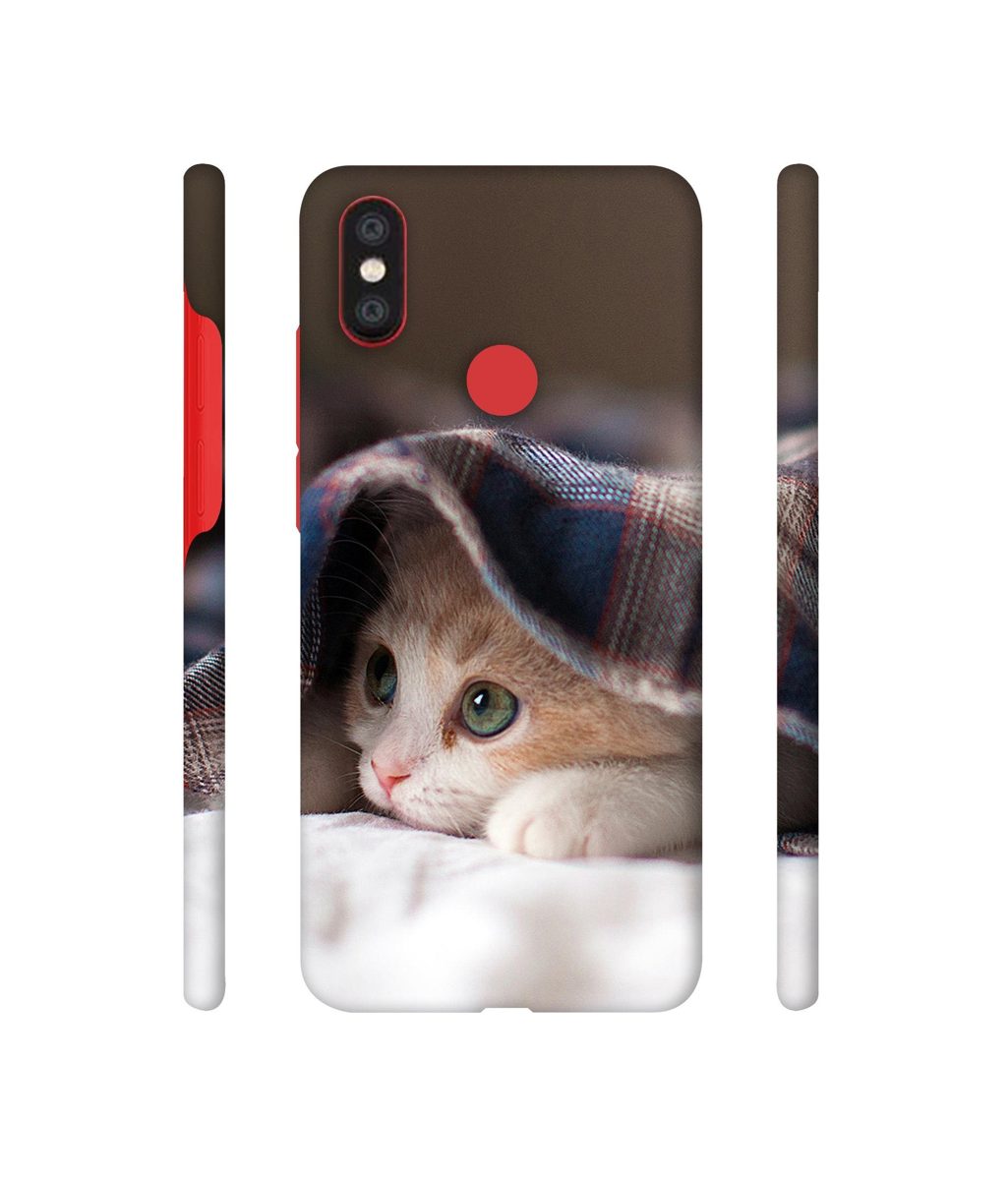 Amazon Brand - Solimo Designer Sleepy Kitten 3D Printed Hard Back Case Mobile Cover for Mi A2