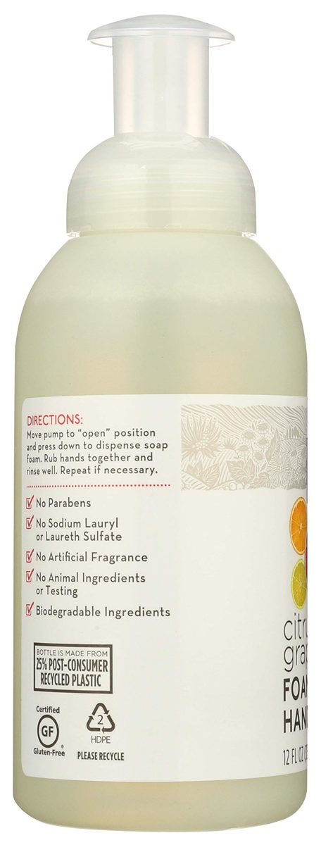 365 Everyday Value, Foaming Hand Soap, Citrus Grapefruit, 12 fl oz