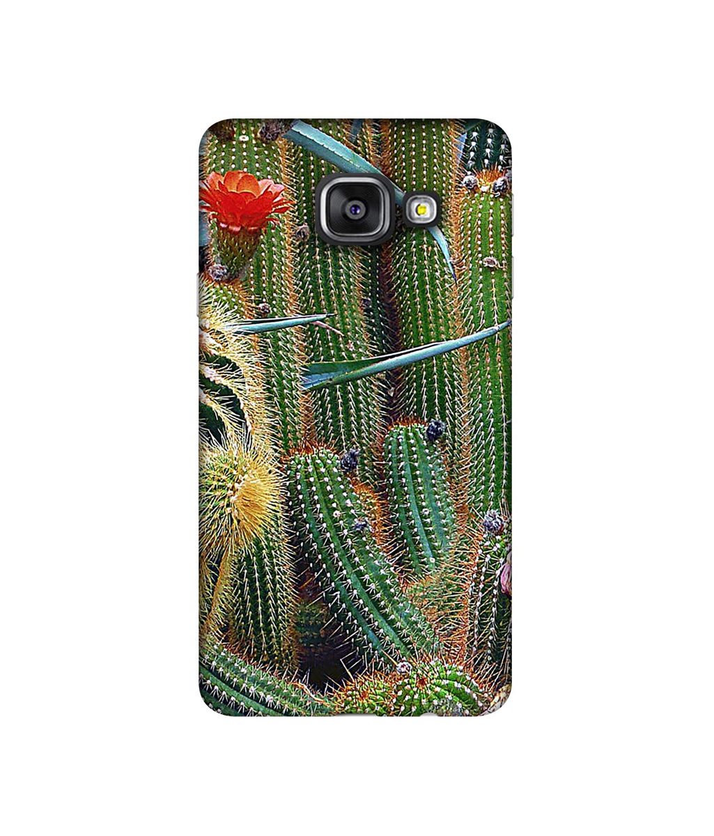 Amazon Brand - Solimo Designer Cactus 3D Printed Hard Back Case Mobile Cover for Samsung Galaxy A3 (2016)