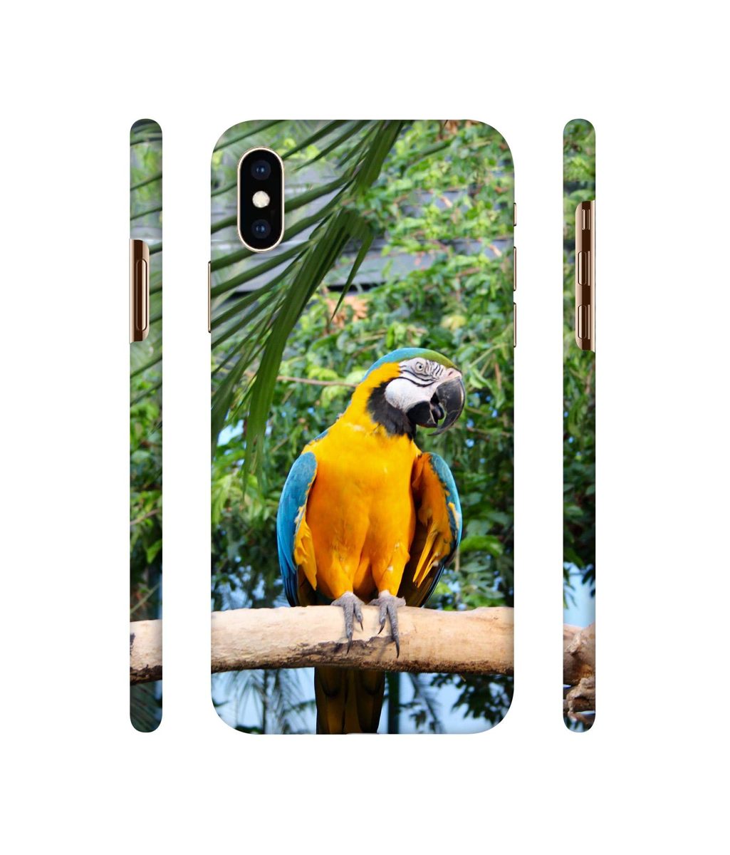 Amazon Brand - Solimo Designer Macaw Bird 3D Printed Hard Back Case Mobile Cover for Apple iPhone Xs Max