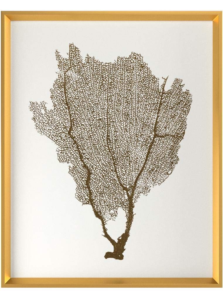 Amazon Brand – Stone & Beam Modern Gold Foil Sea Fan Print I Framed Wall Art Decor - 24 x 30 Inch Frame, Gold