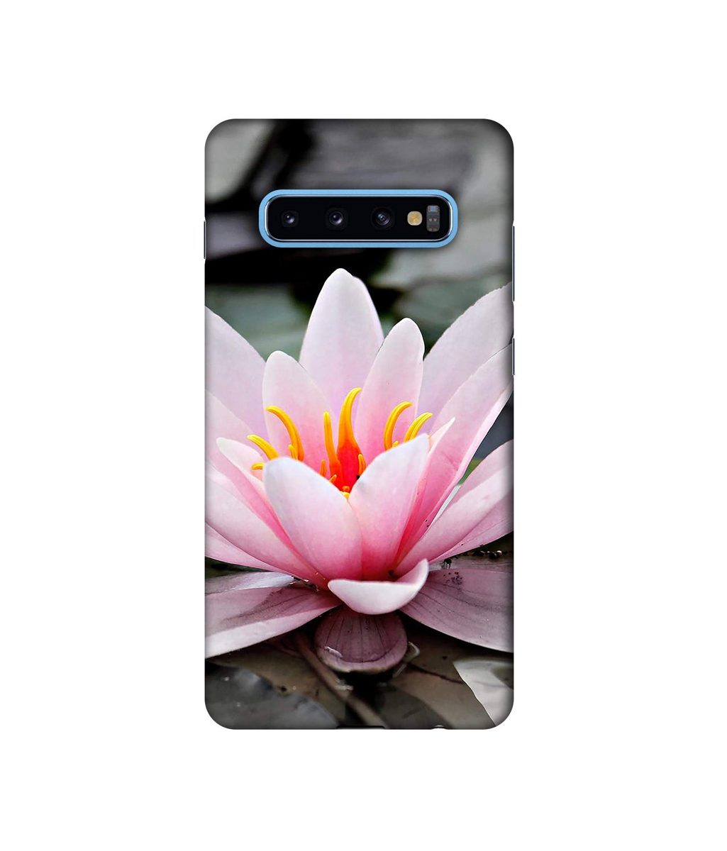 Amazon Brand - Solimo Designer Lotus 3D Printed Hard Back Case Mobile Cover for Samsung Galaxy S10 Plus