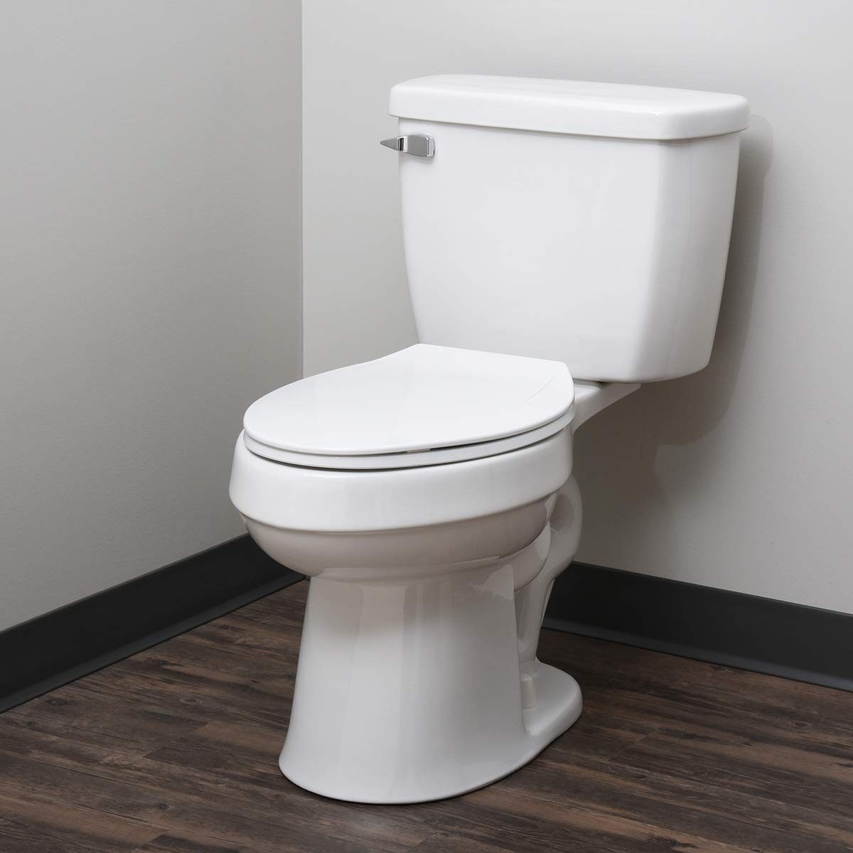 AmazonBasics AB-T100-E-W Economy Toilet Seat, Elongated, White, 1-Pack