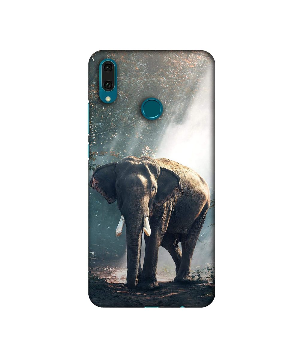 Amazon Brand - Solimo Designer Elephant 3D Printed Hard Back Case Mobile Cover for Huawei Y9 (2019)