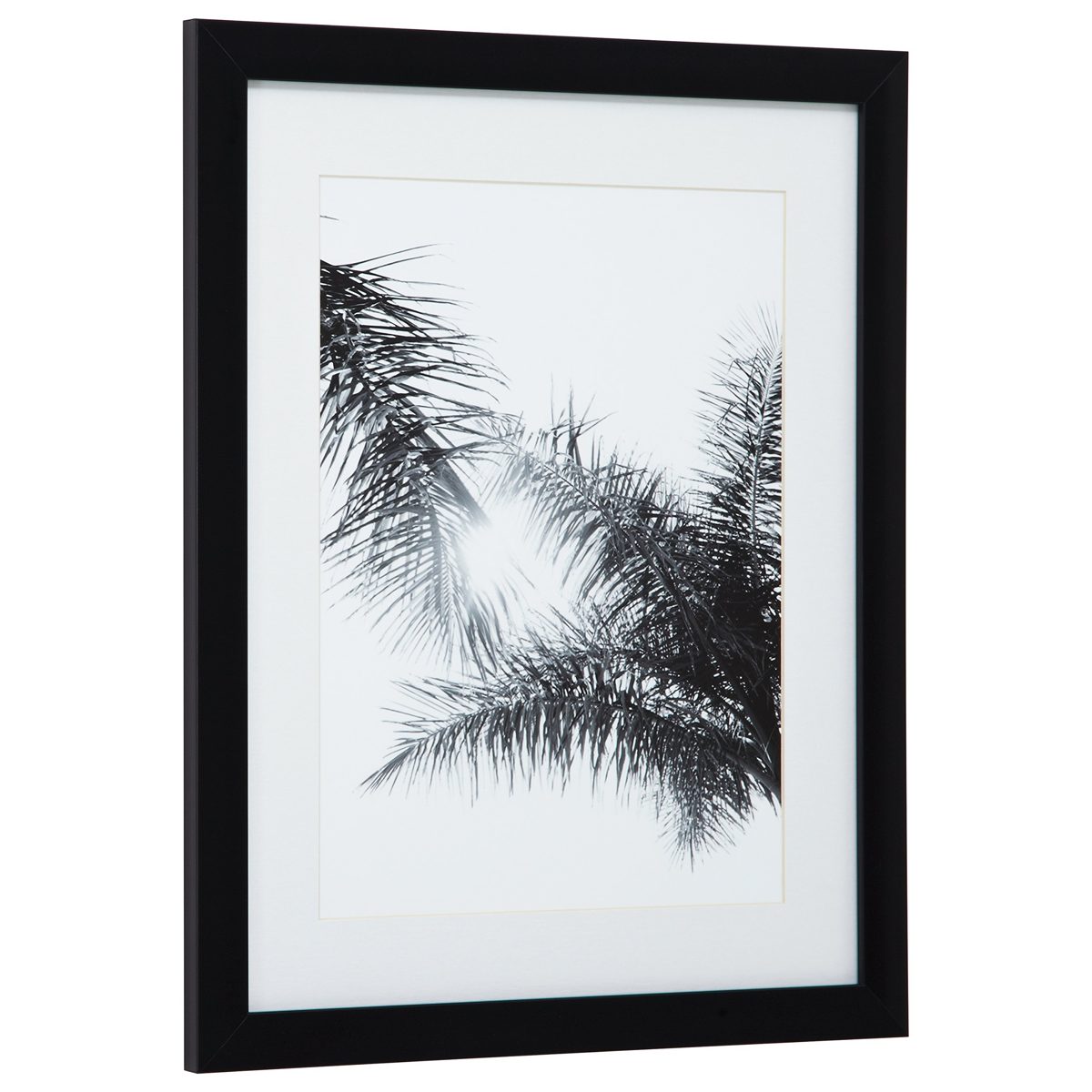 Amazon Brand – Stone & Beam Modern Black and White Tropical Palm Branches Photo Wall Art Decor - 18 x 22 Inch Frame, Black