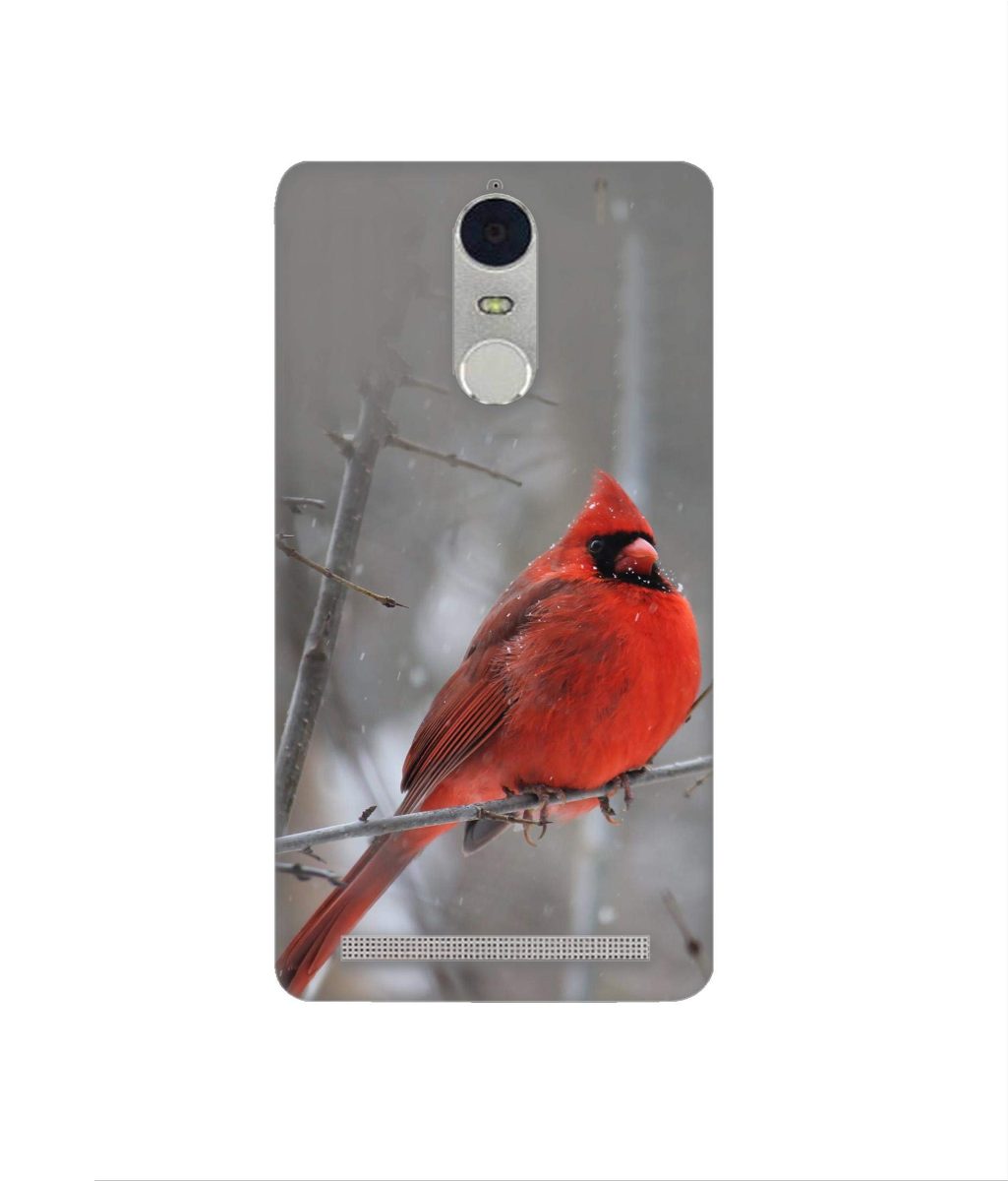Amazon Brand - Solimo Designer Red Engry Bird 3D Printed Hard Back Case Mobile Cover for Lenovo K5 Note