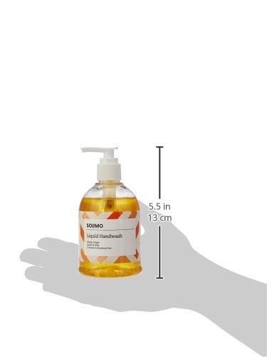 Amazon Brand - Solimo Handwash Liquid, Orange Ginger - 250 ml