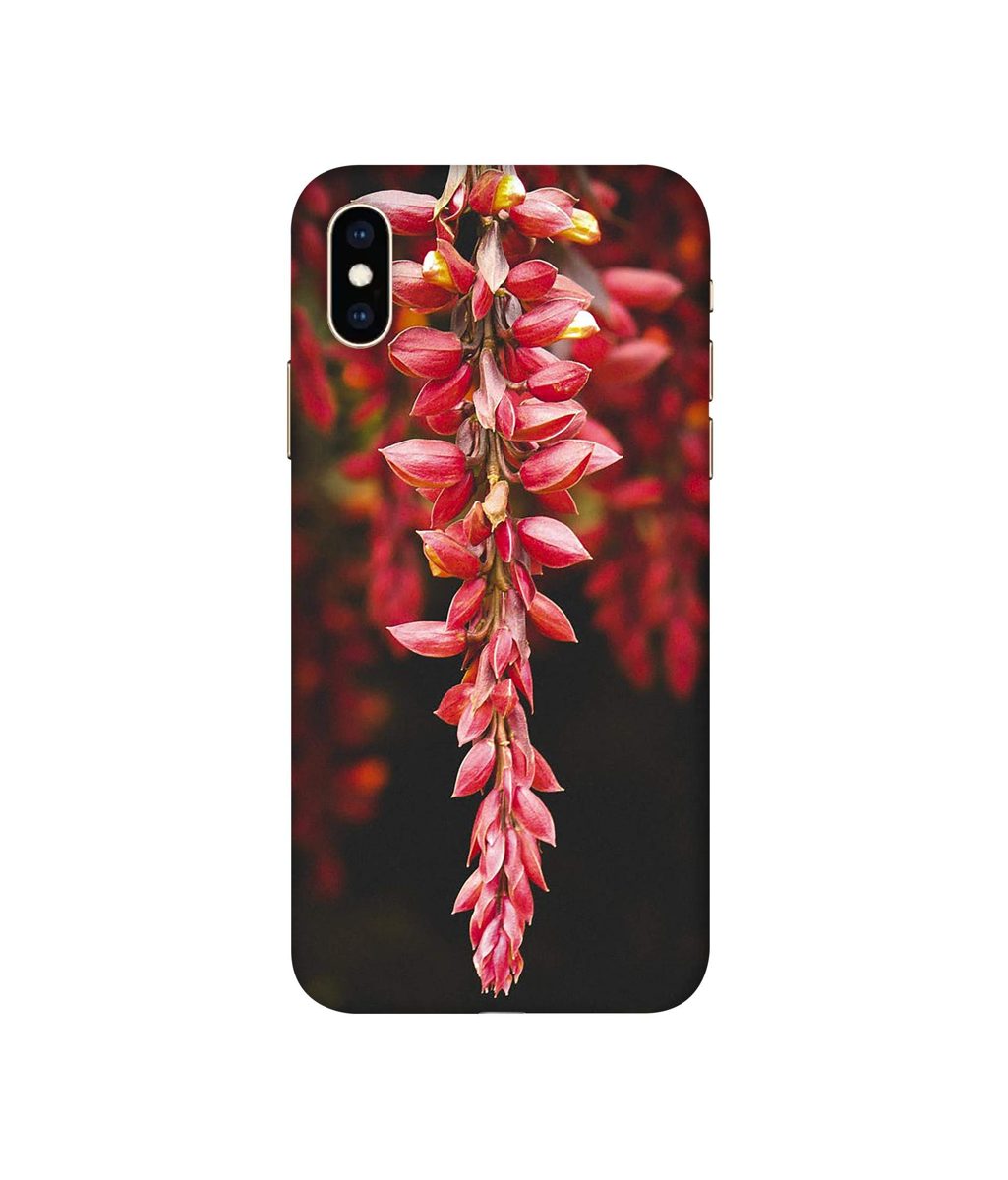 Amazon Brand - Solimo Designer Flowers Photograpy 3D Printed Hard Back Case Mobile Cover for Apple iPhone Xs Max