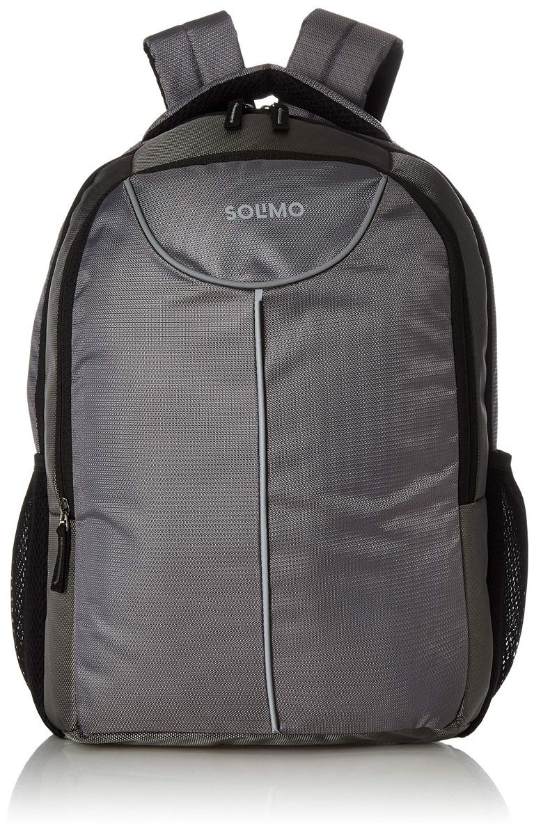 Amazon Brand - Solimo Laptop Backpack for 15.6-inch Laptops (27 litres, Grey)