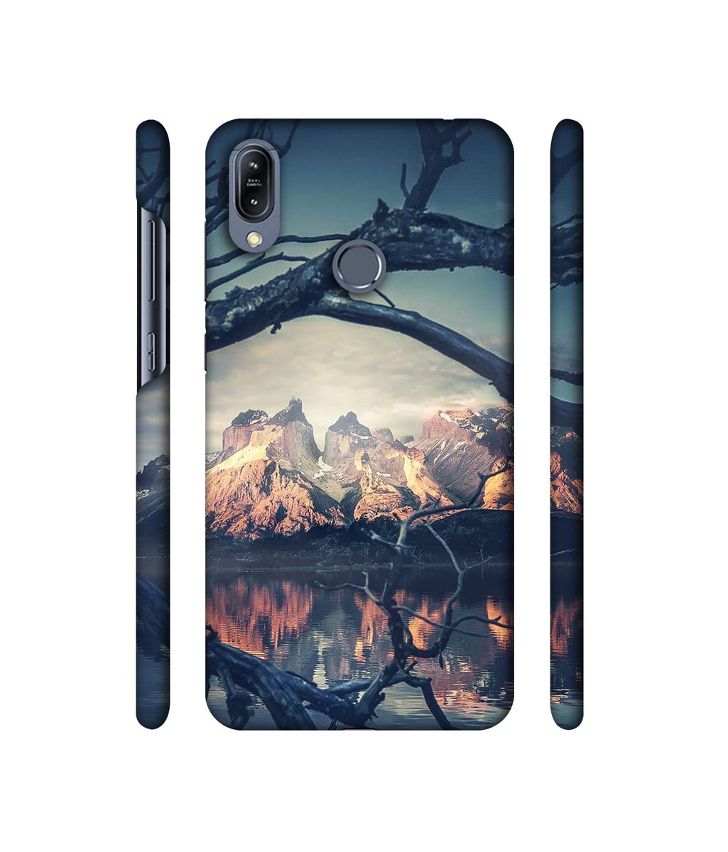 Amazon Brand - Solimo Designer Tree Reflextion 3D Printed Hard Back Case Mobile Cover for Asus Zenfone Max (M2) ZB633KL