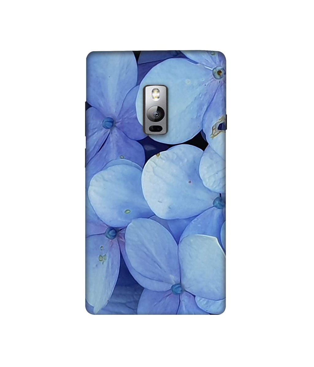Amazon Brand - Solimo Designer Light Blue Flower Photography 3D Printed Hard Back Case Mobile Cover for OnePlus 2