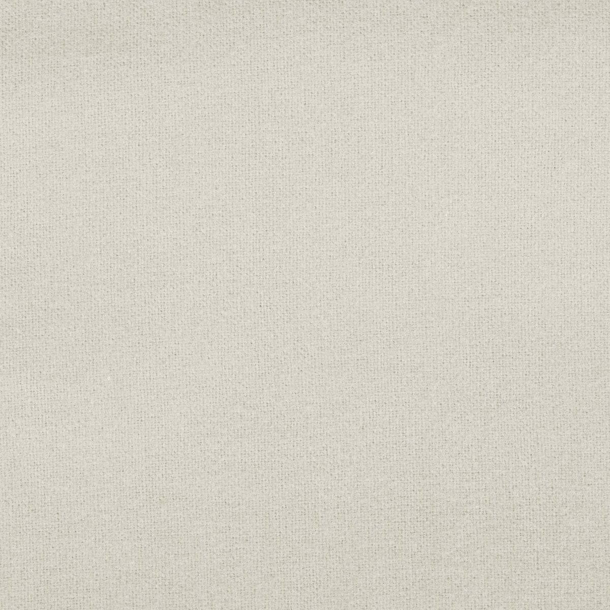 Pinzon Signature Cotton Heavyweight Velvet Flannel Sheet Set - King, Cream