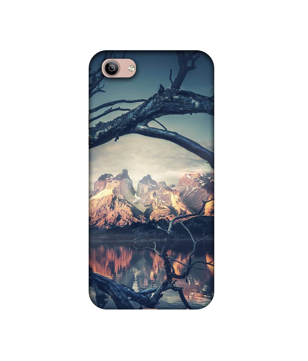 Amazon Brand - Solimo Designer Tree Reflextion 3D Printed Hard Back Case Mobile Cover for Vivo Y81i