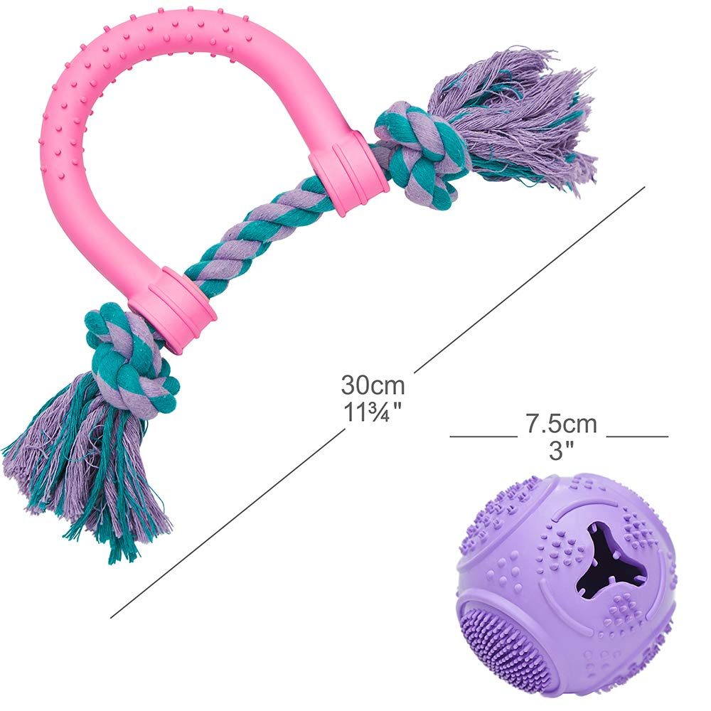 UMI. Essential Dog Dental Care Care Value Pack
