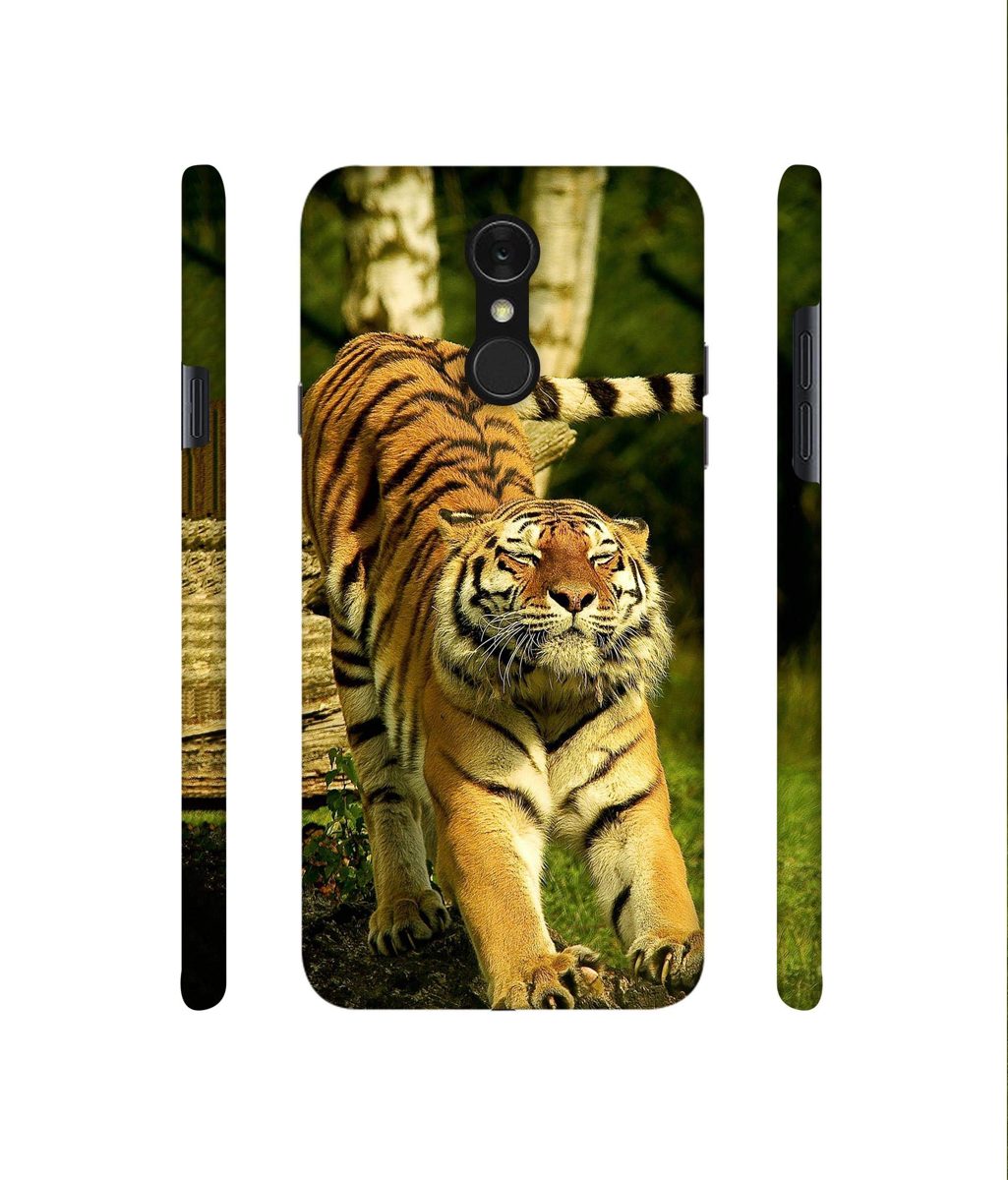 Amazon Brand - Solimo Designer Tiger 3D Printed Hard Back Case Mobile Cover for LG Q7