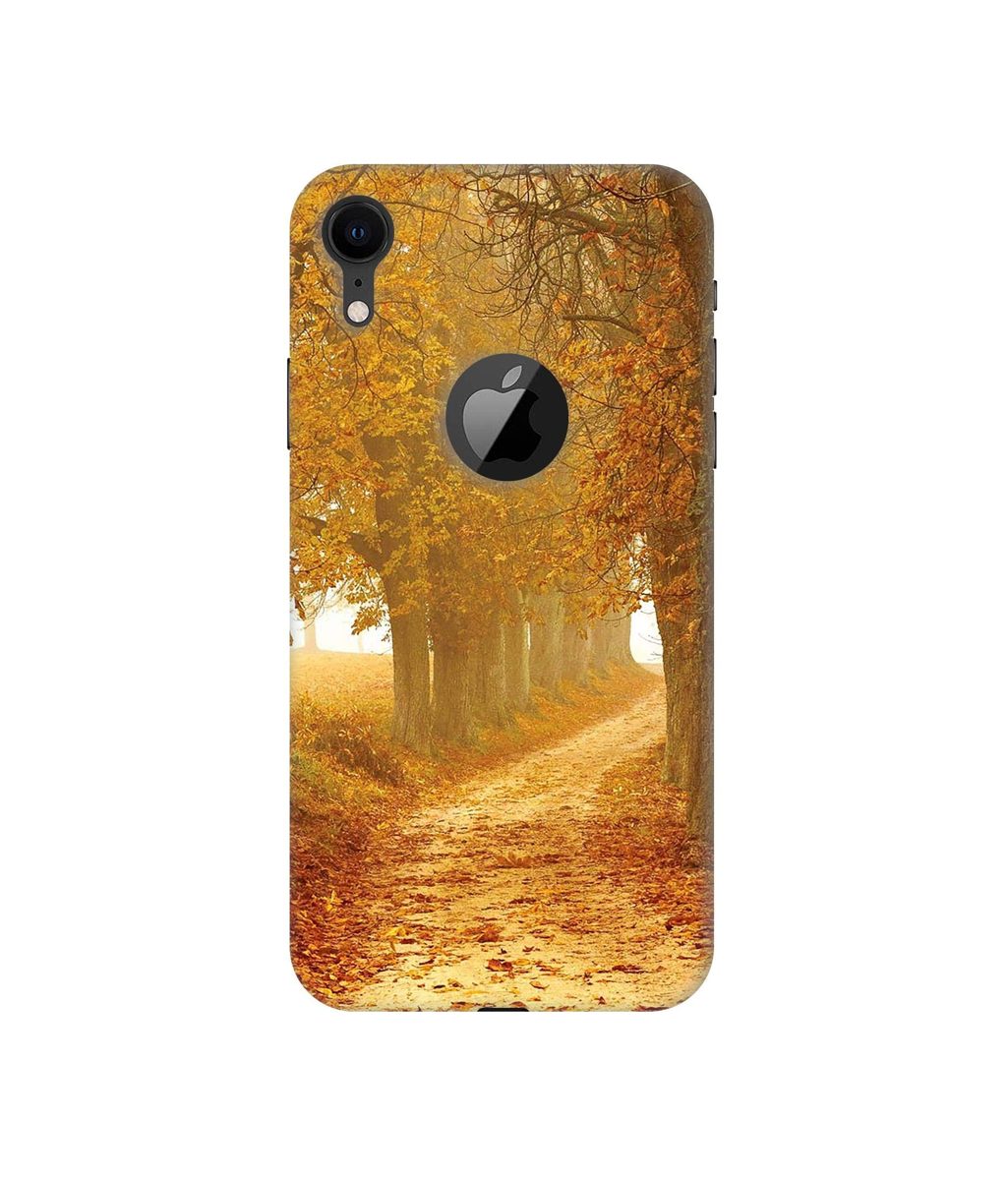 Amazon Brand - Solimo Designer Autumn Scene 3D Printed Hard Back Case Mobile Cover for Apple iPhone XR (Logo Cut)
