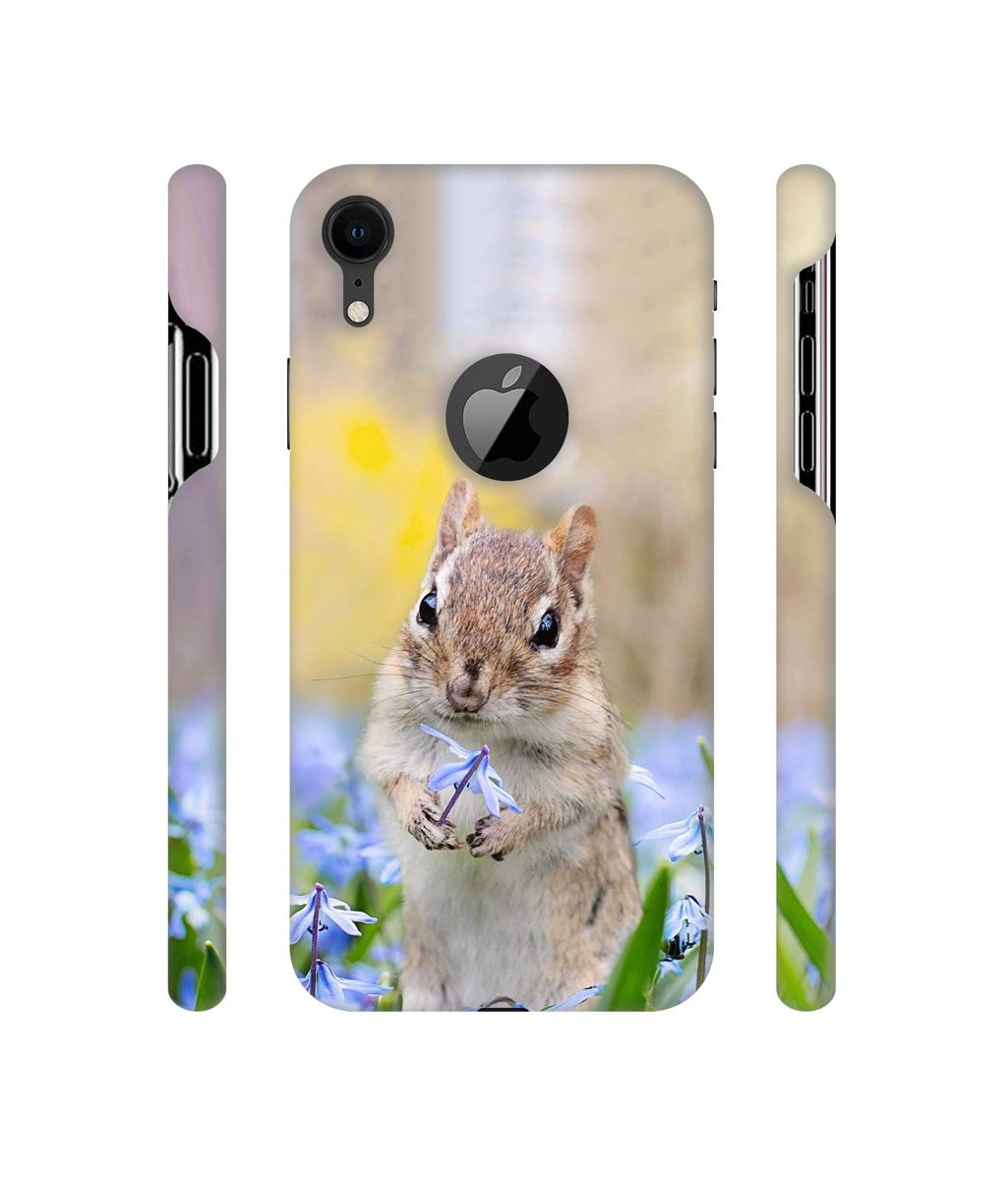 Amazon Brand - Solimo Designer Squirrel 3D Printed Hard Back Case Mobile Cover for Apple iPhone XR (Logo Cut)