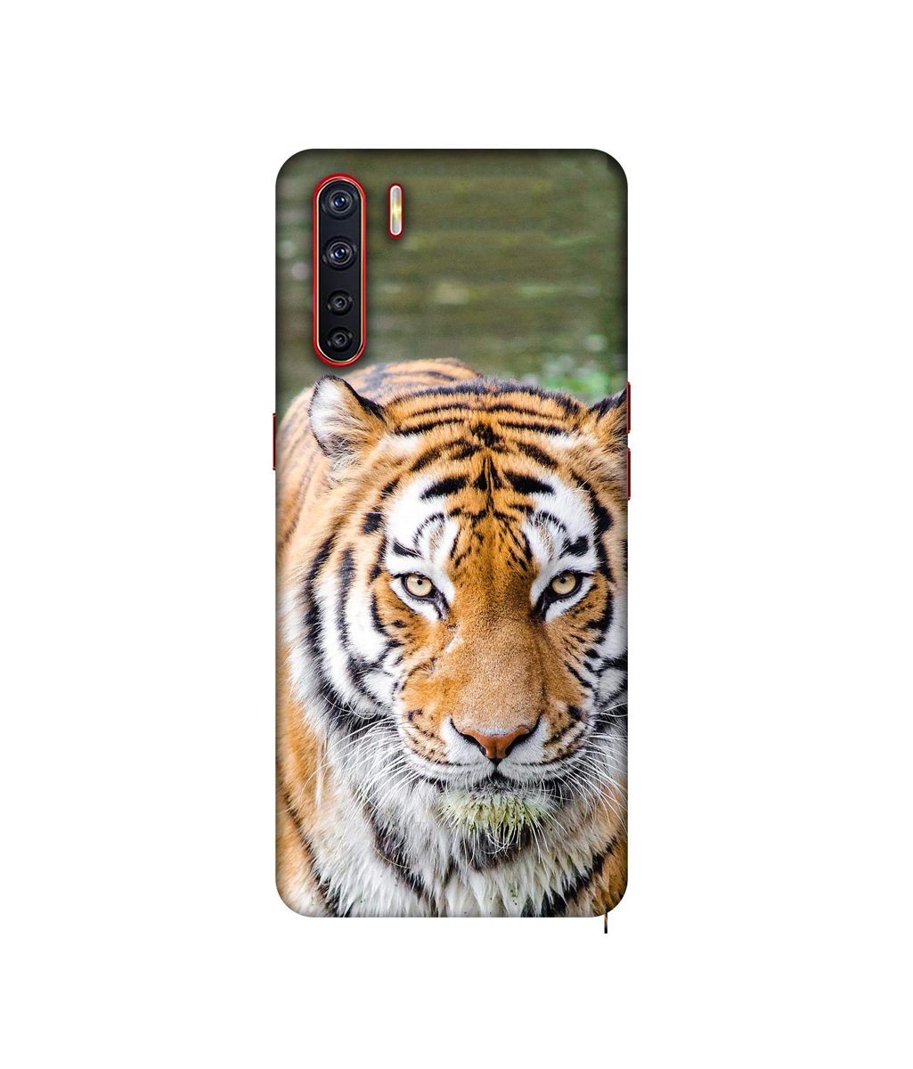 Amazon Brand - Solimo Designer Tiger in Water 3D Printed Hard Back Case Mobile Cover for Oppo A91