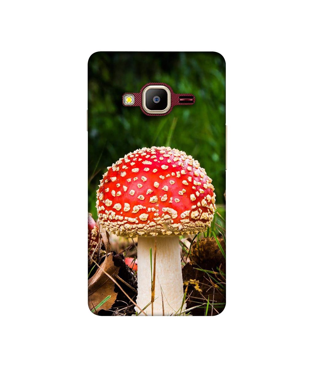 Amazon Brand - Solimo Designer Red Mushroom 3D Printed Hard Back Case Mobile Cover for Samsung Z2