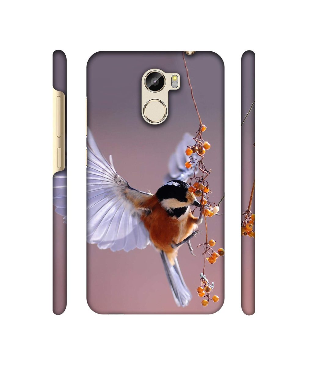 Amazon Brand - Solimo Designer Bird 3D Printed Hard Back Case Mobile Cover for Gionee X1
