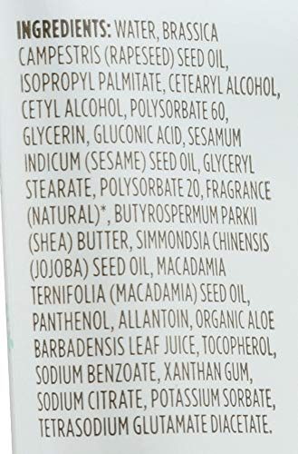 Apple Cider Maximum Moisture Body Lotion, 2 Ounce