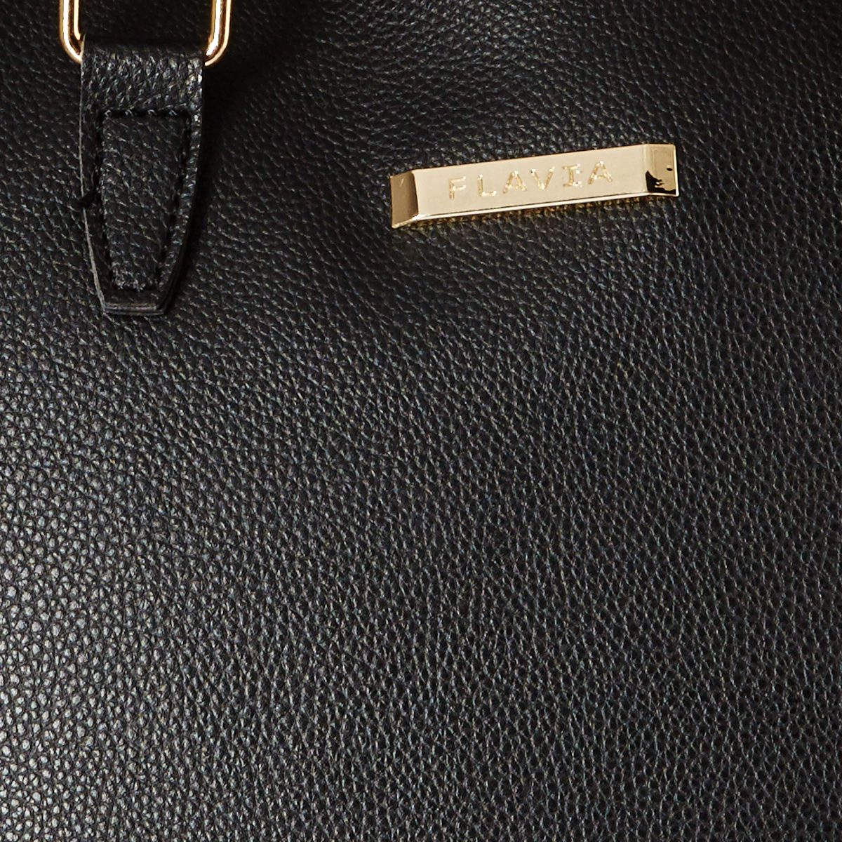 Flavia Women's Handbag (Black)