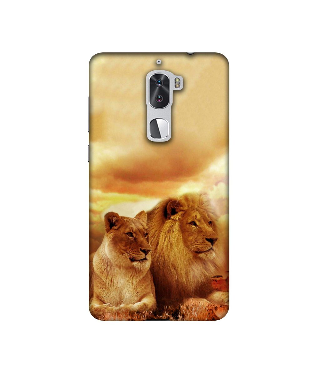 Amazon Brand - Solimo Designer Lion with Lioness 3D Printed Hard Back Case Mobile Cover for Coolpad Cool1 Dual