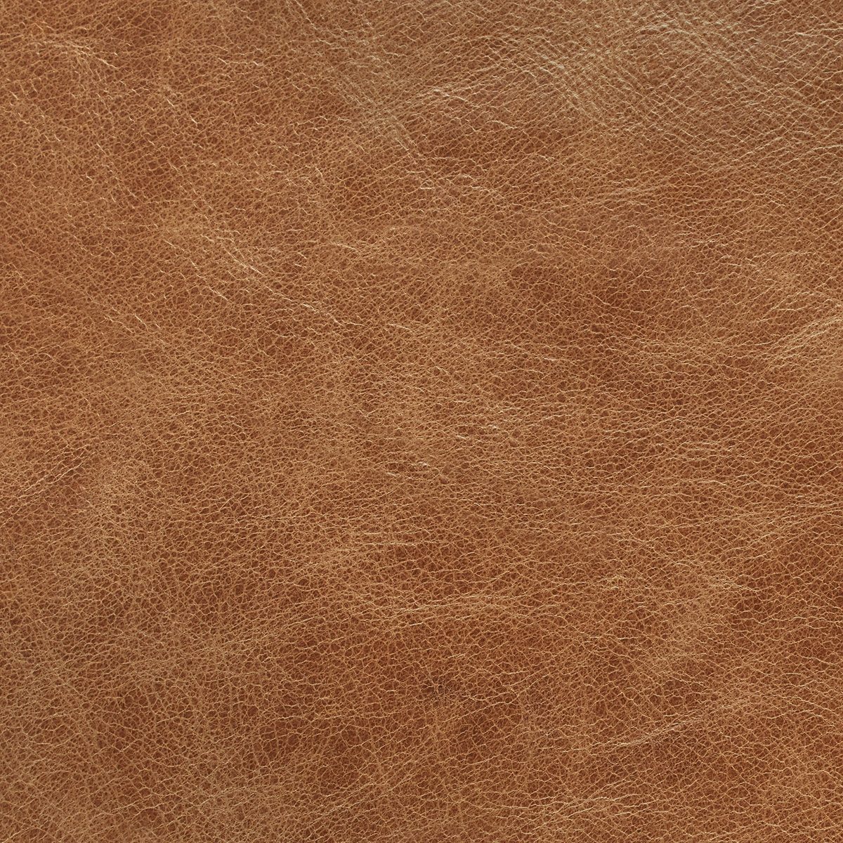 Amazon Brand – Rivet Aiden Tufted Mid-Century Modern Leather Bench Seat Sofa, 86.6" W, Cognac