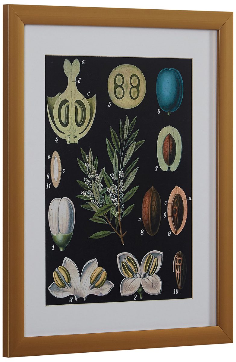 Urban Living PTM Images 1-29738 Collection Framed and matted giclee Print on Paper Under Glass Wall Art