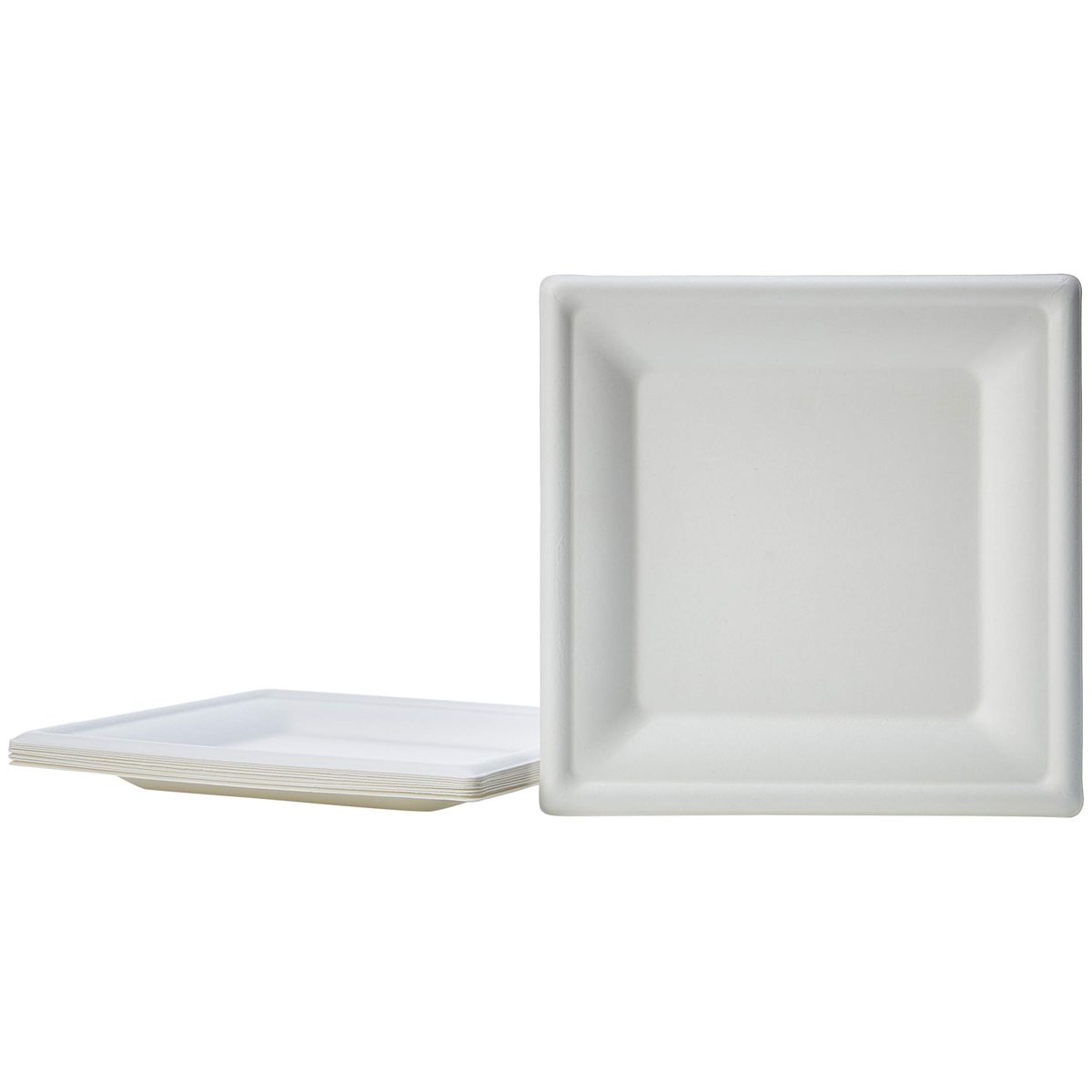 AmazonBasics Compostable Plate, 8-Inches, 500 Plates