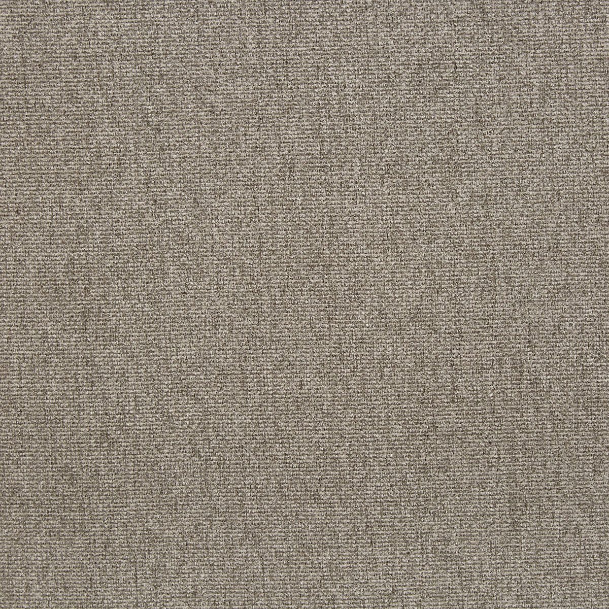 Rivet Grey Gum Swatch, Rivet