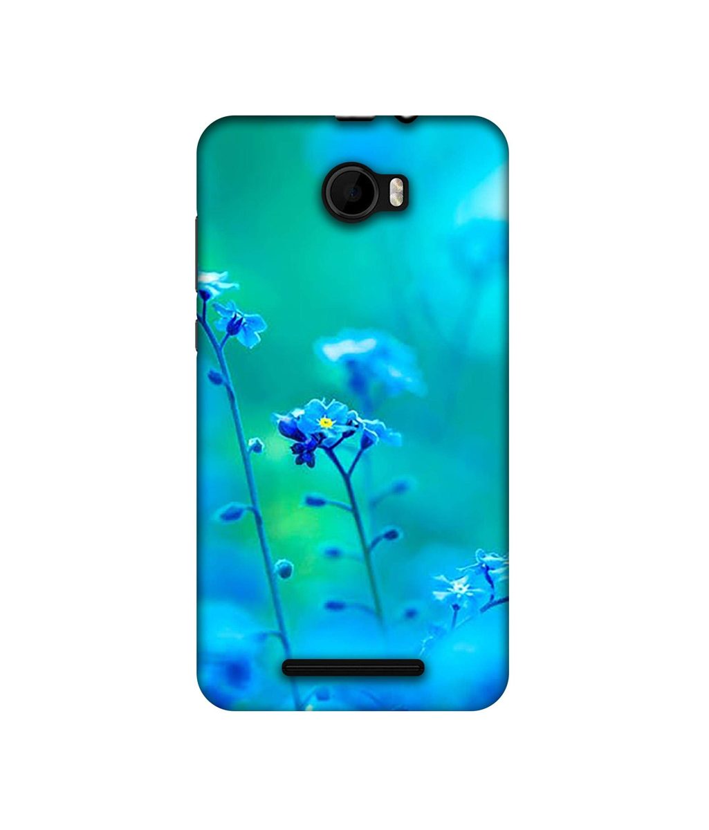 Amazon Brand - Solimo Designer Blue Flower UV Printed Soft Back Case Mobile Cover for Karbonn K9 Viraat
