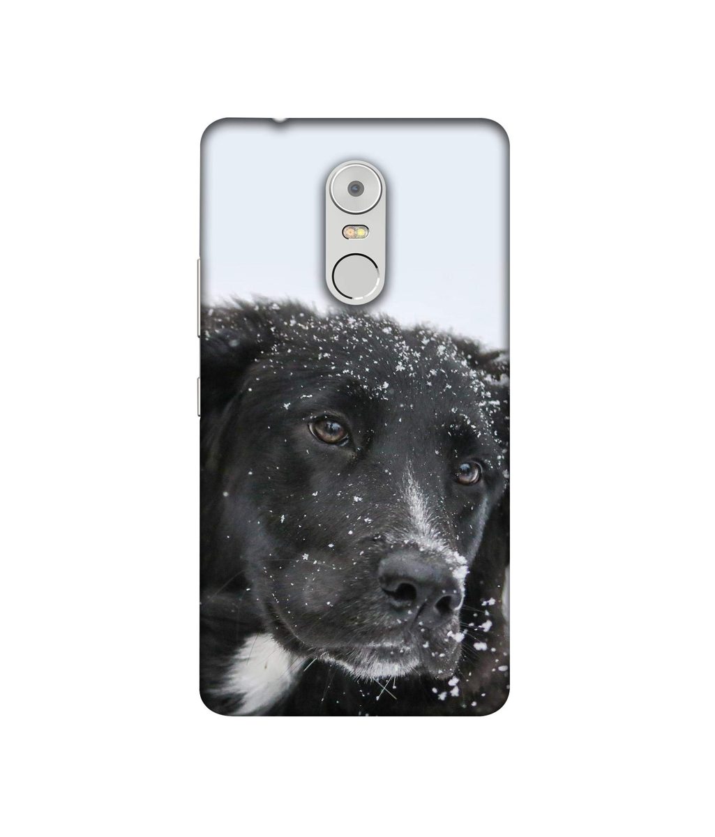 Amazon Brand - Solimo Designer Labrador Dog 3D Printed Hard Back Case Mobile Cover for Lenovo K6 Note