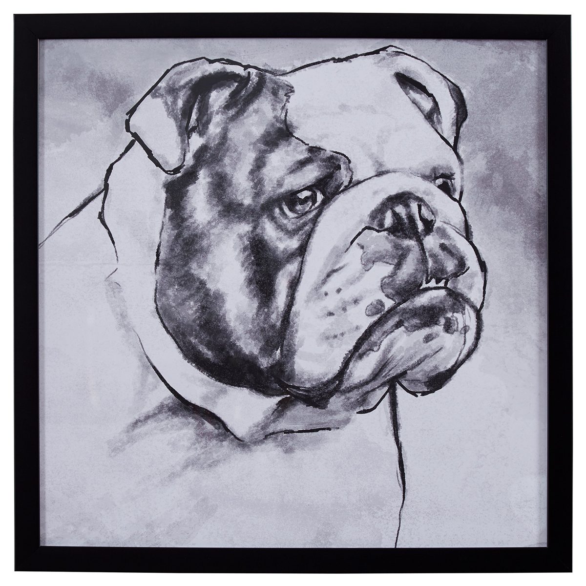 Amazon Brand – Stone & Beam Modern Black and White Print Wall Art of English Bulldog, Black Frame, 26" x 26"