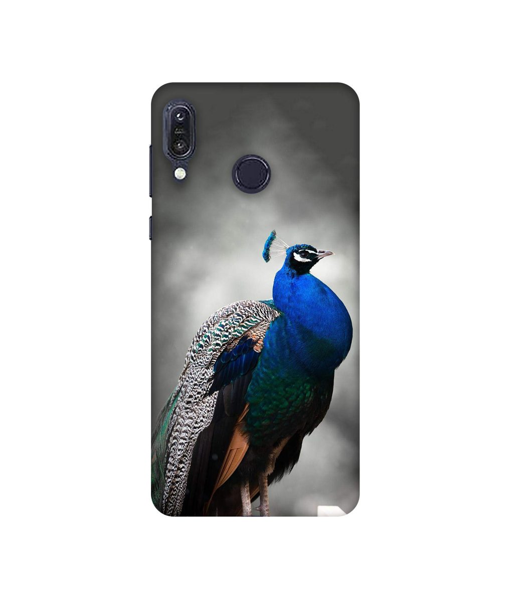 Amazon Brand - Solimo Designer Peacock 3D Printed Hard Back Case Mobile Cover for Asus Zenfone Max M1 ZB555KL