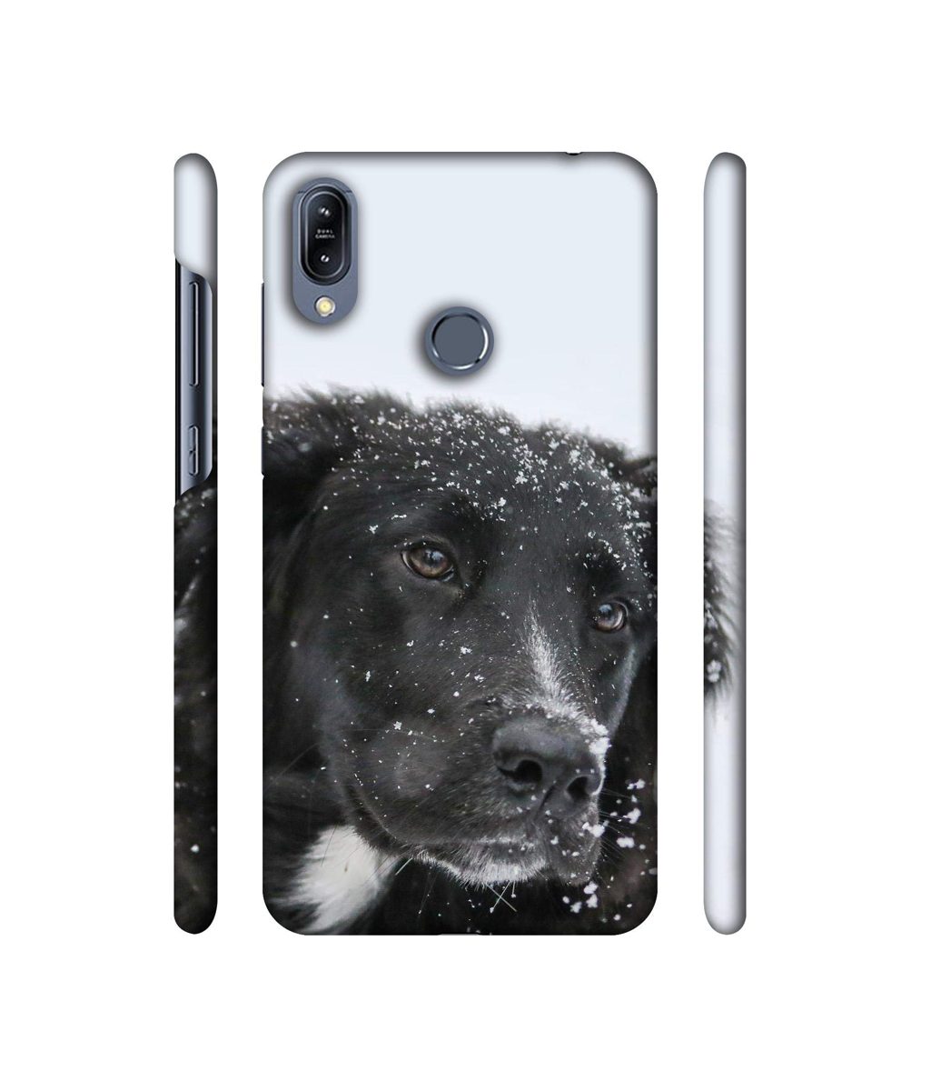 Amazon Brand - Solimo Designer Labrador Dog 3D Printed Hard Back Case Mobile Cover for Asus Zenfone Max (M2) ZB633KL