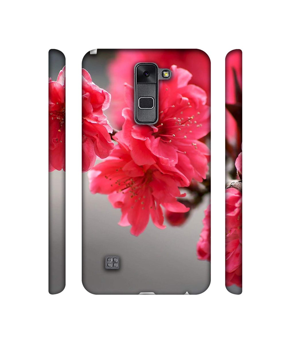 Amazon Brand - Solimo Designer Blossom Like Flower 3D Printed Hard Back Case Mobile Cover for LG Stylus 2