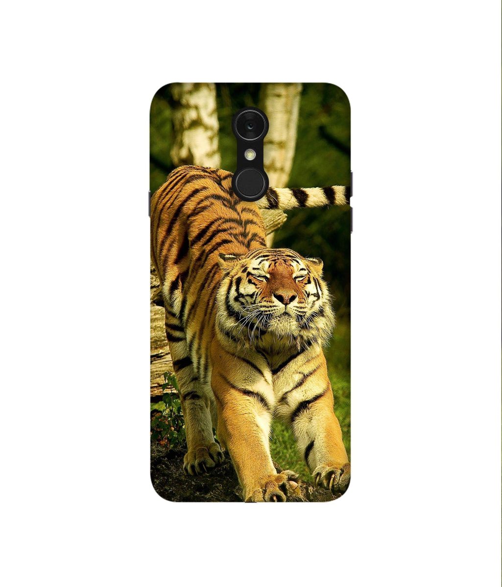 Amazon Brand - Solimo Designer Tiger 3D Printed Hard Back Case Mobile Cover for LG Q7