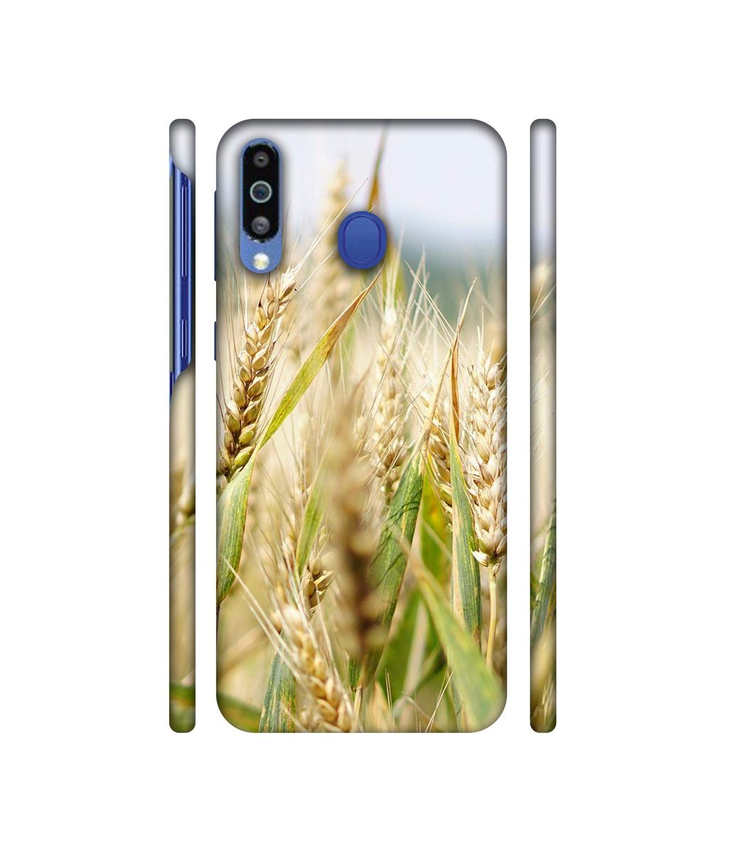 Amazon Brand - Solimo Designer Wheat Plant 3D Printed Hard Back Case Mobile Cover for Samsung Galaxy M21