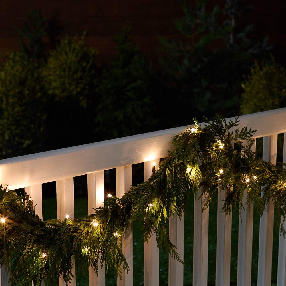 AmazonBasics LED Commercial Grade Indoor/Outdoor Christmas String Lights with Green Rope, Warm White with 50 LEDs, 16-Foot, 2-Pack
