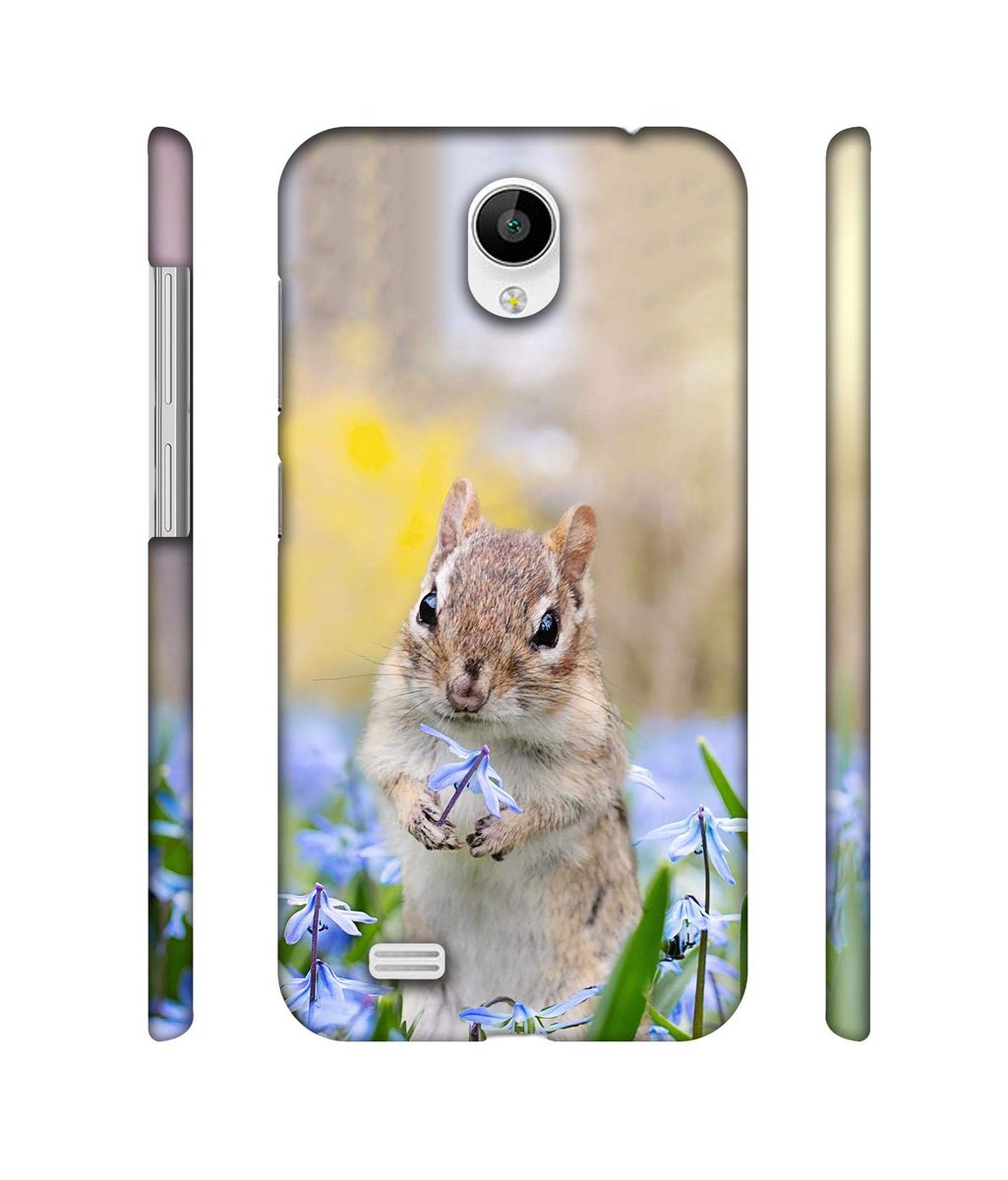 Amazon Brand - Solimo Designer Squirrel 3D Printed Hard Back Case Mobile Cover for Vivo Y21L