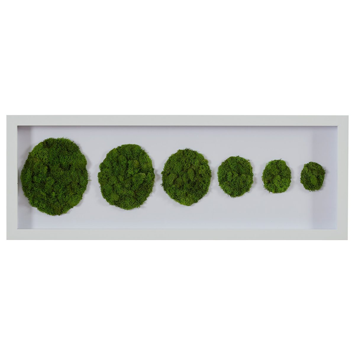 Amazon Brand – Rivet Preserved Green Moss Circles Wall Art in White Frame, 30" x 10"