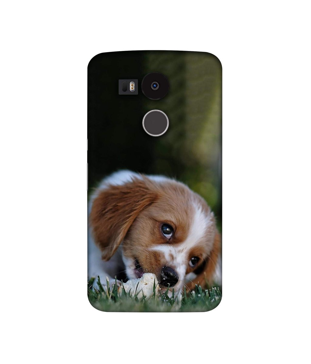 Amazon Brand - Solimo Designer Cute Puppy 3D Printed Hard Back Case Mobile Cover for LG Nexus 5X