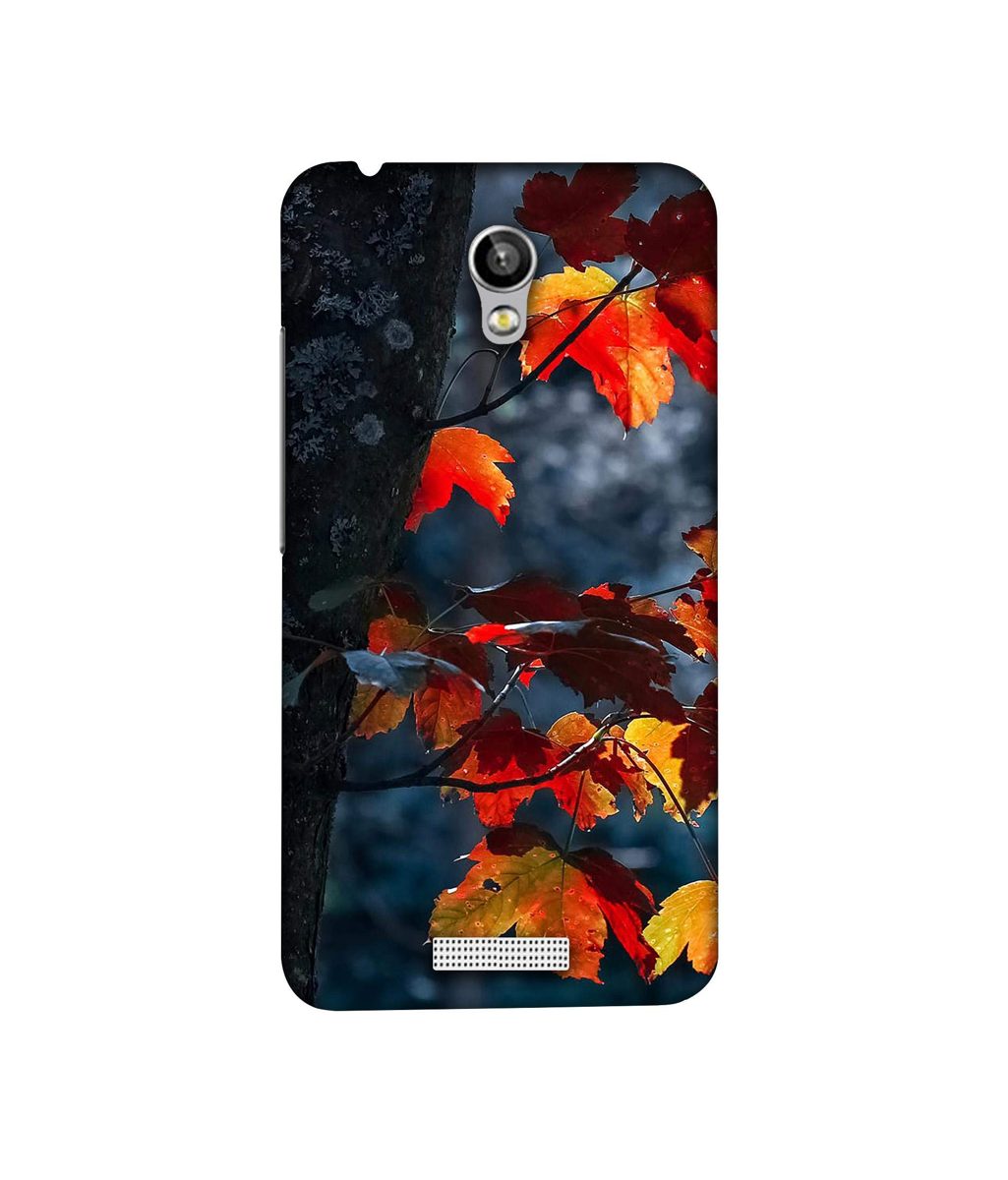 Amazon Brand - Solimo Designer Autumn Leaf 3D Printed Hard Back Case Mobile Cover for Micromax Canvas Spark Q380