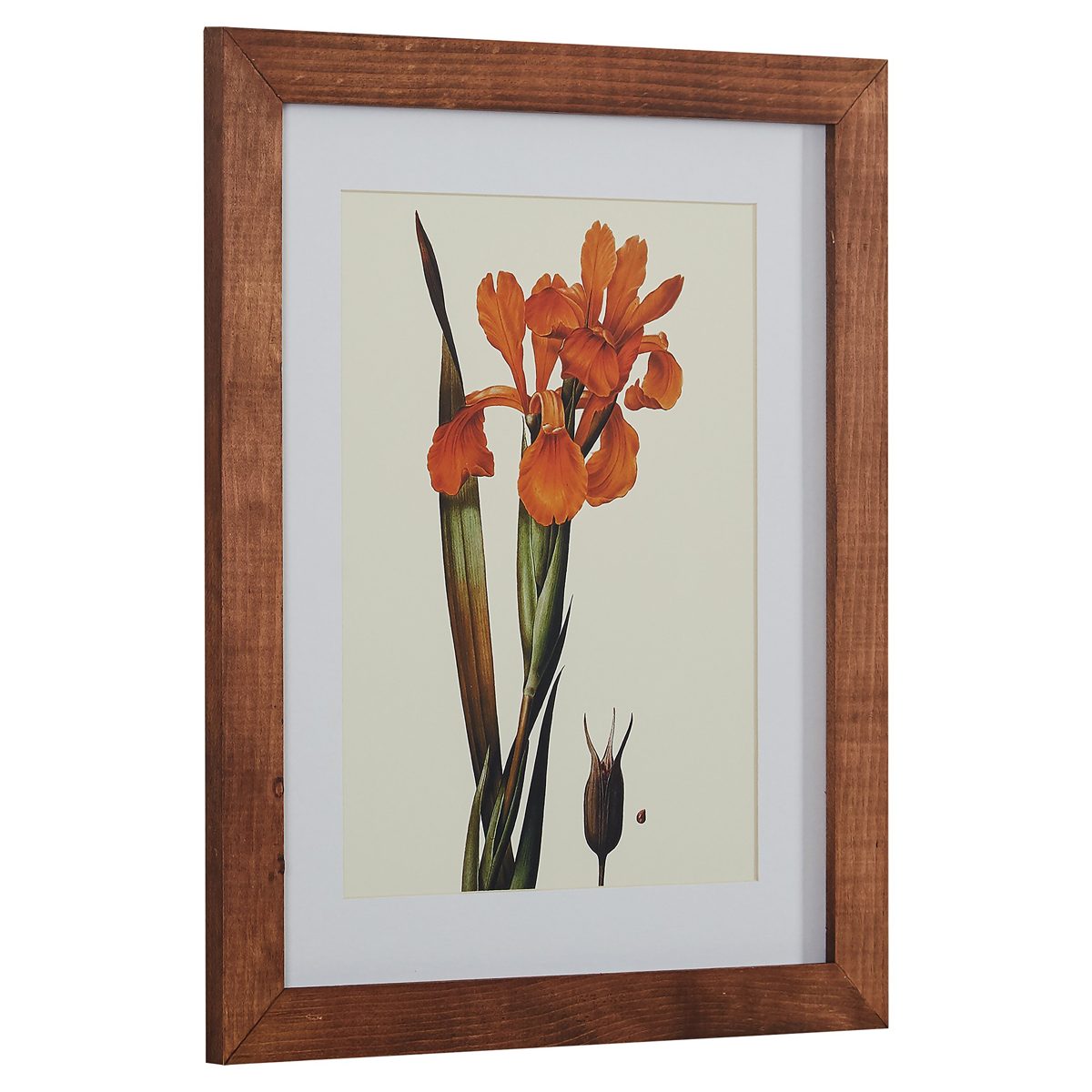 Amazon Brand – Stone & Beam Modern Orange Floral Print Wall Art, Weathered Brown Frame, 18.5" x 22.5"