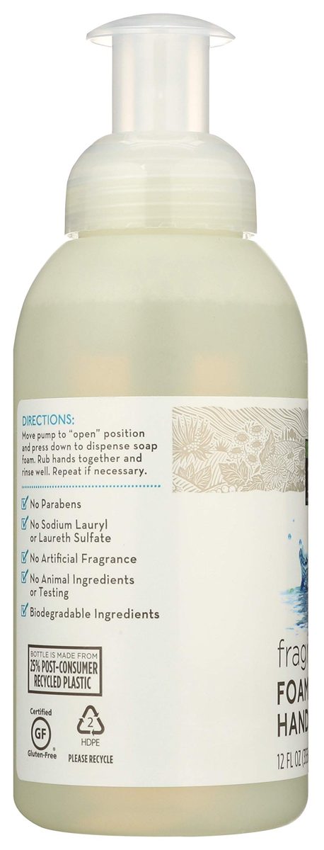 365 Everyday Value, Foaming Hand Soap, Fragrance Free, 12 fl oz