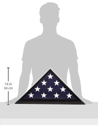 AmazonBasics Flag Display Case, Black