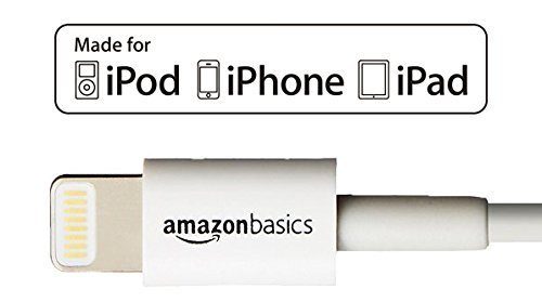 Otterbox Defender Series Case for iPhone 6/6s and AmazonBasics Lightning Cable (6-Feet) Pack